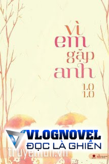 Vì Em Gặp Anh